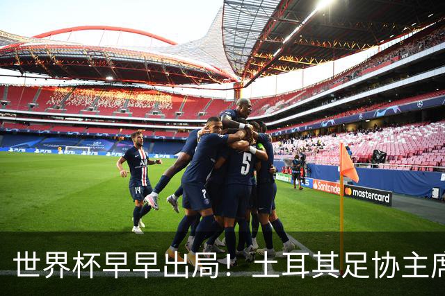 世界杯早早出局！土耳其足协主席：所有国脚们仍将获赠海景别墅