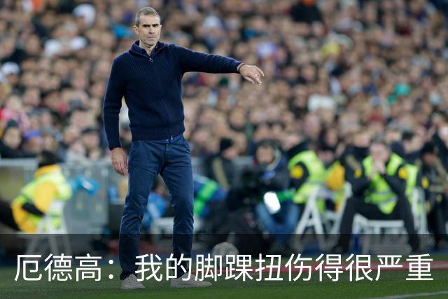 厄德高：我的脚踝扭伤得很严重
