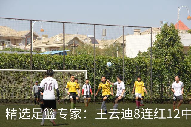 精选足篮专家：王云迪8连红12中11 世界杯15中13