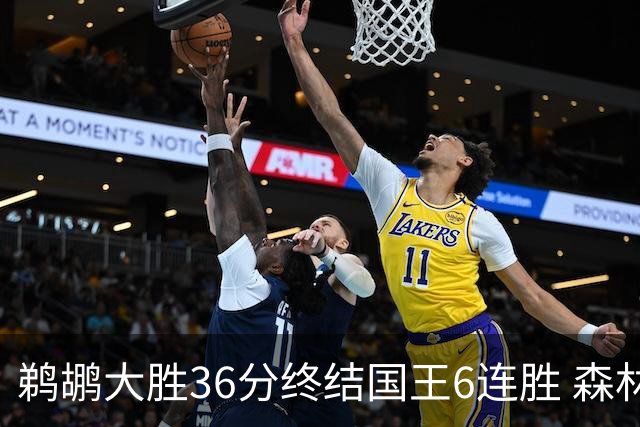鹈鹕大胜36分终结国王6连胜 森林狼大胜尼克斯