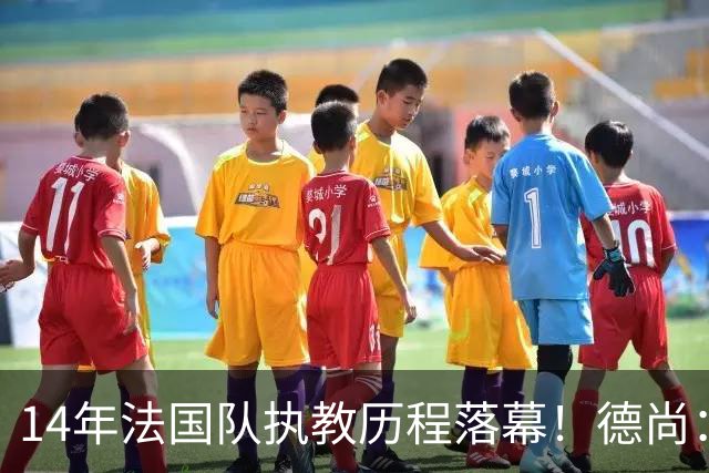 14年法国队执教历程落幕！德尚：这是一段美好旅程